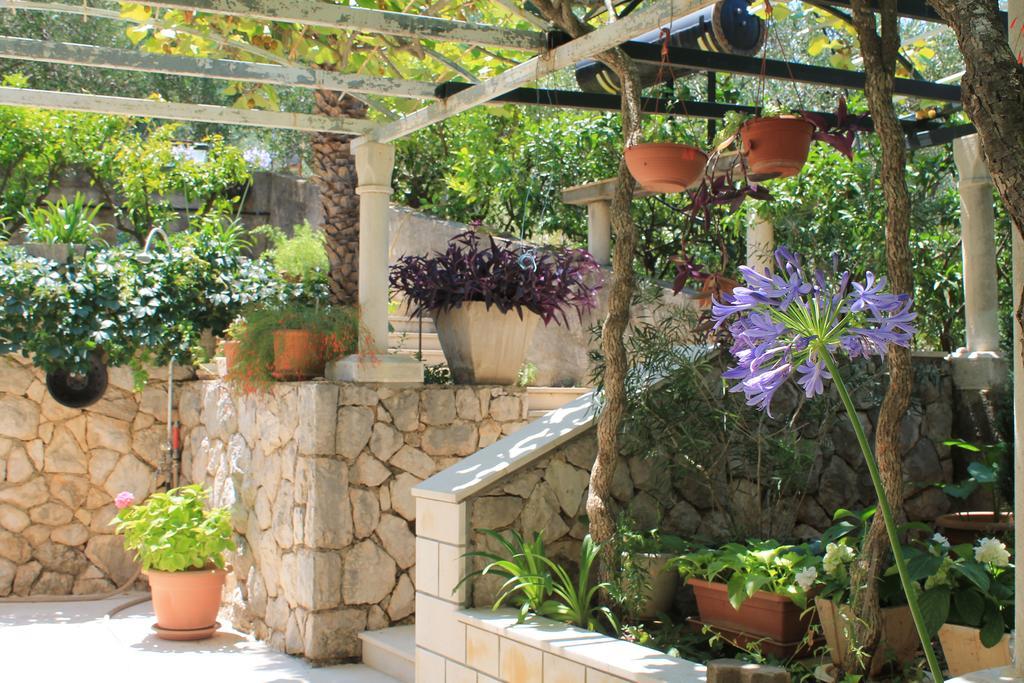 Apartments And Rooms Villa Mir Zaton (Dubrovnik-Neretva) Exterior foto