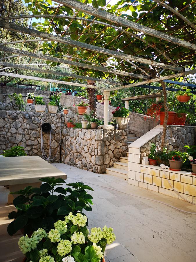 Apartments And Rooms Villa Mir Zaton (Dubrovnik-Neretva) Exterior foto