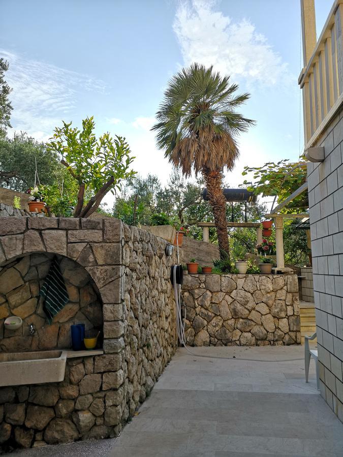 Apartments And Rooms Villa Mir Zaton (Dubrovnik-Neretva) Exterior foto